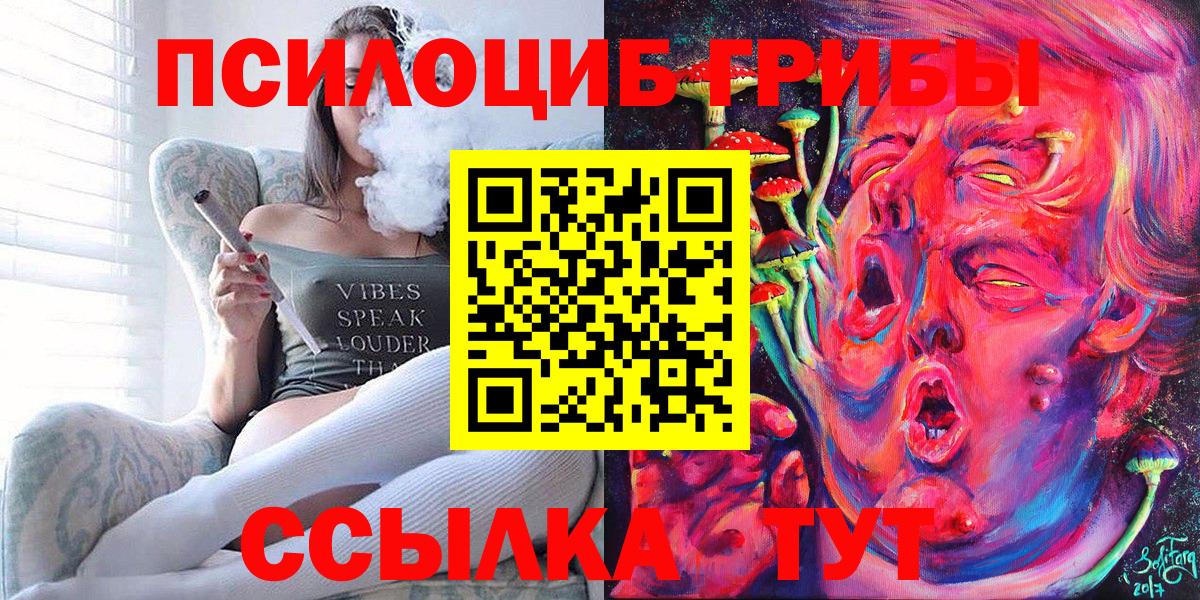 A PVP Шадринск