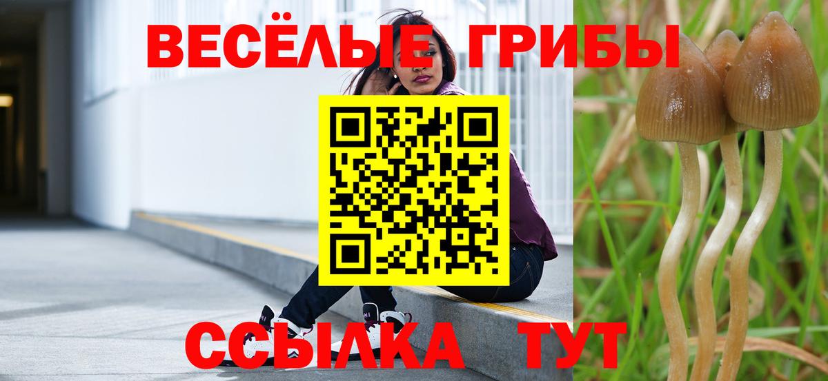 Галлюциногенные грибы GOLDEN TEACHER Шадринск